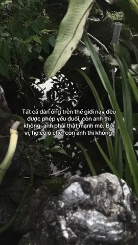 …#tamtrang #story 