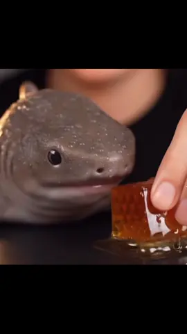 Asking AI to make a Baby Shark 🦈 eating Honey 🍯 #fyp #ASMR #AI #satisfying 
