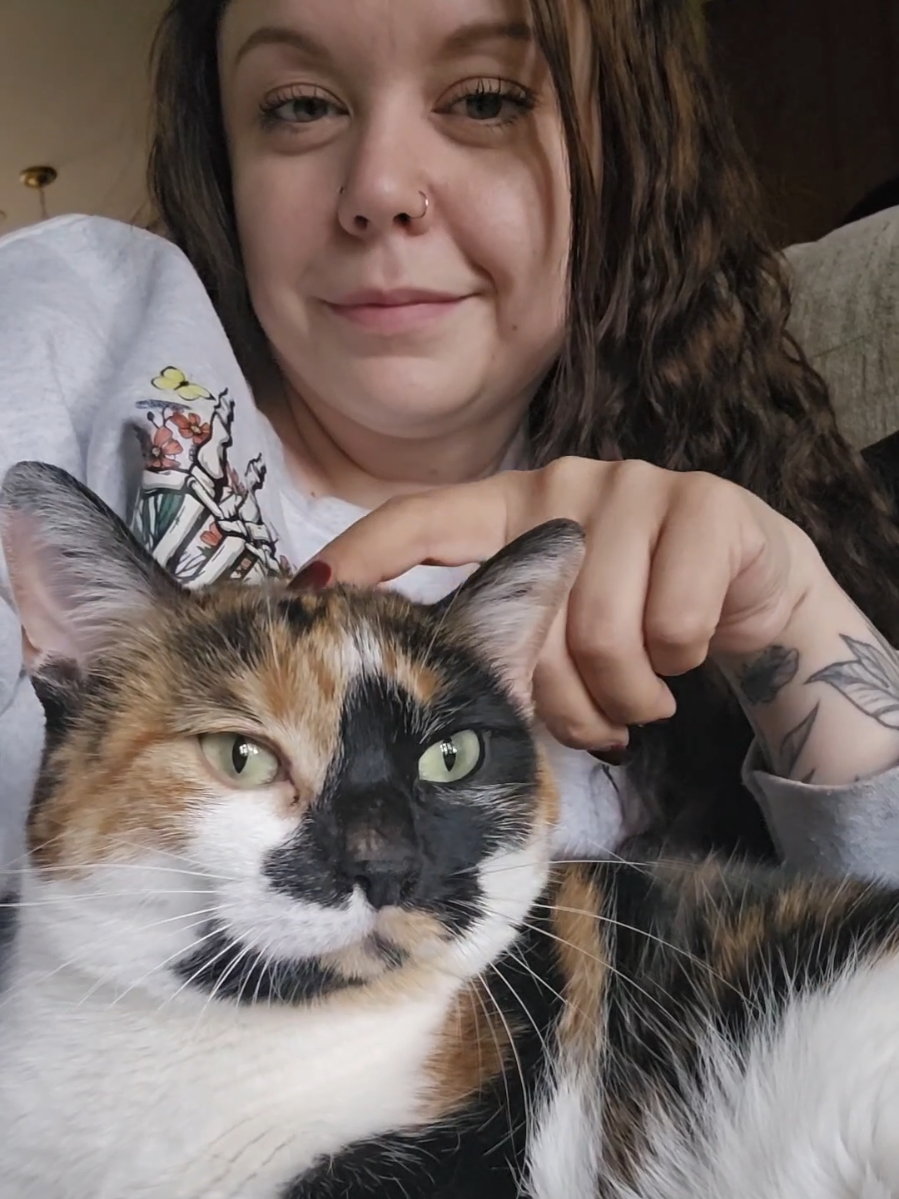 #CapCut #cattok #catlady #catthings #cats #cat #catpeople #catmom #catdad #catclub #catstuff #meows #catvideos #PetsOfTikTok #meowing #catlover #kitty #catsoftiktok 