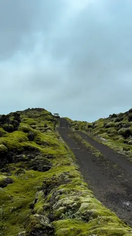A road through a moss-covered lava field – like driving on another planet. 🌍💚 #icelandoffroad #lavafield #mossylandscape #nissanpatrol #icelandhighlands #4x4adventure #volcaniclandscape #offroadlife #rybaabroad 