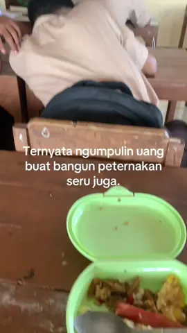 #fypシ゚viral #capcut #entokjumbo #peternakmuda #ternakmuda #lele 