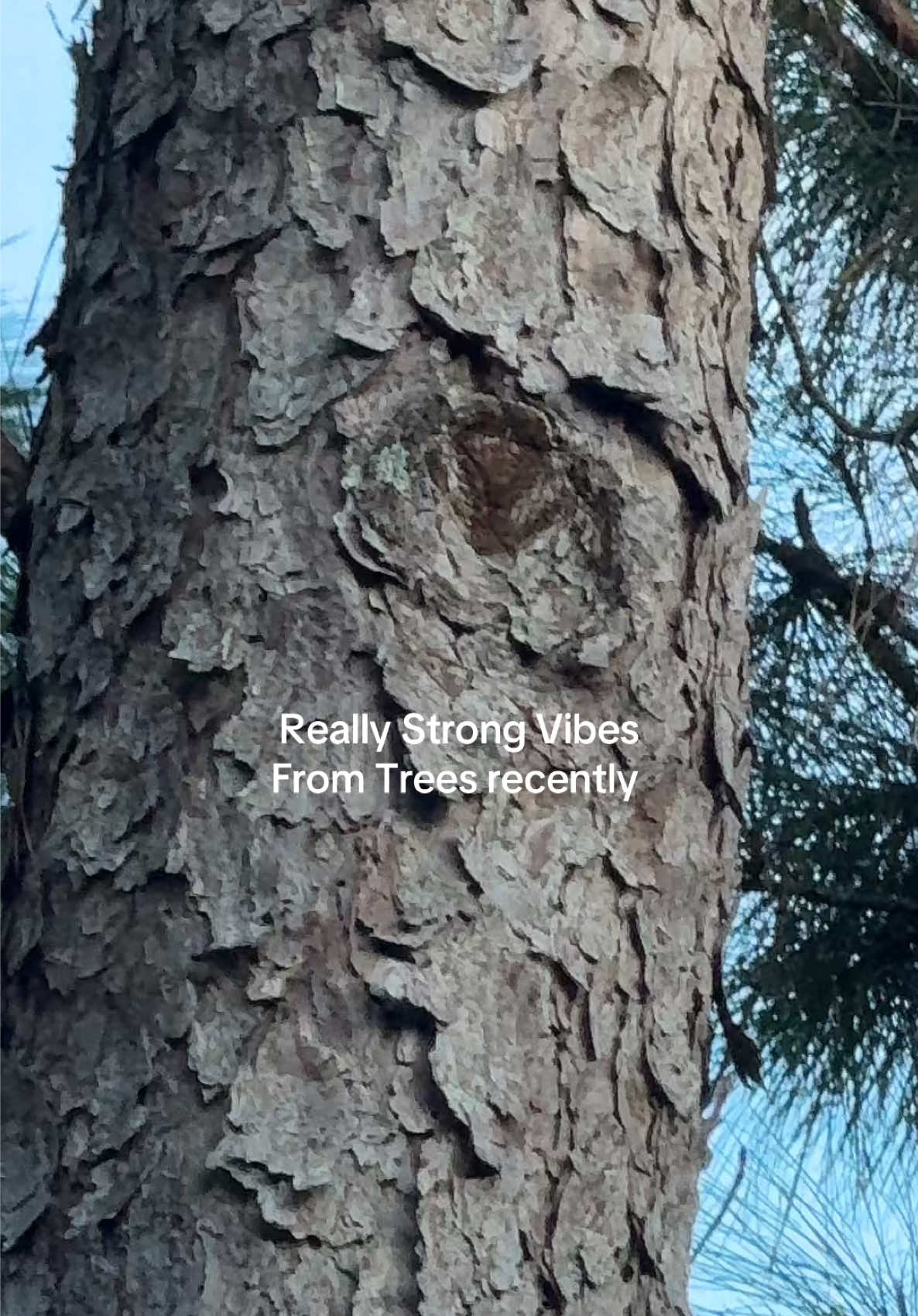 👁️ 𝐼 𝑐𝑜𝑢𝑙𝑑 𝑠𝑝𝑒𝑛𝑑 𝑎𝑙𝑙 𝑑𝑎𝑦 𝑤／ 𝑦𝑜𝑢 🌳