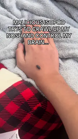 SEND HELP ASAP #isopod #BUG #helpme 