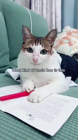 #cat #fyp #awsome #fypシ#unclebao #bao 