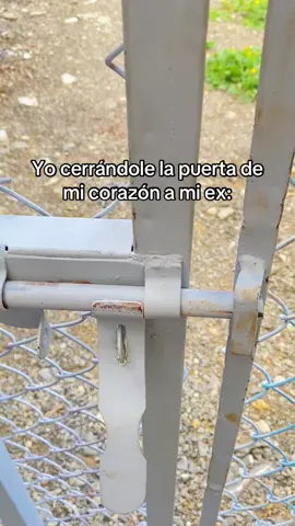 🙂‍↕️#contenido #risa #ex #corazon #humor 