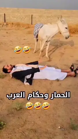 #الناشط اليمني مصطفى المومري🤭😂