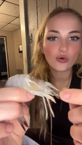 How to peel and devein Gulf shrimp #shrimp #seafood #peelshrimp #howto #gulfshrimp 