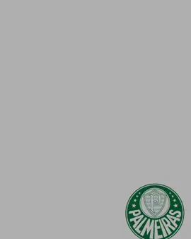 perdemos... #derby #palmeiras #corinthians #viral 