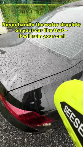 Why risk towels? This blower dries your car fast, protecting the paint with ease. Portable, powerful, with a charger and storage case. Click the link to grab it!#blower #cordlessleafblower #carowners #CarCare #multiuse #tiktokshop #fyp