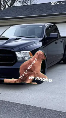 That’s life I guess #meme #memecut #ouch #help #fyp #funny #dog #style 