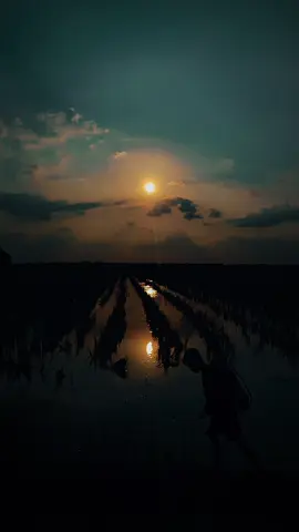 #tanggungjawab 