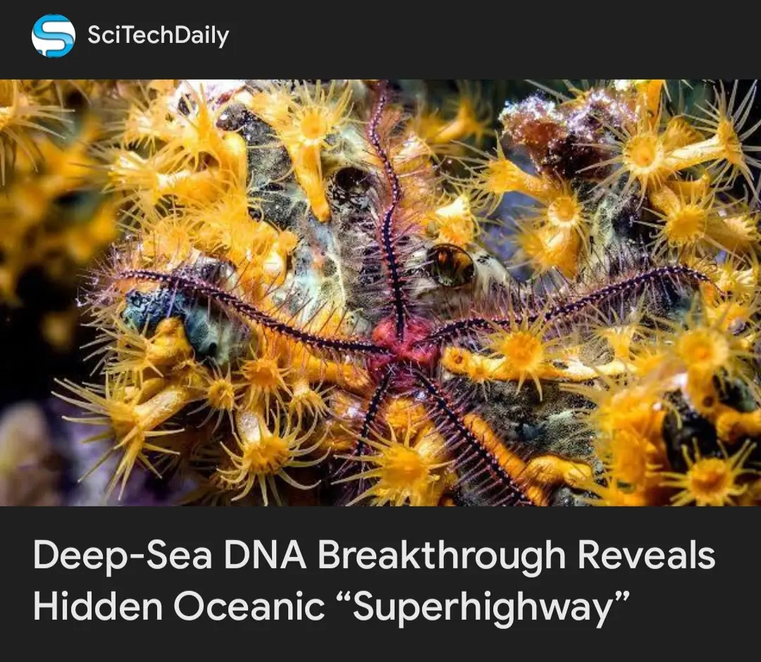 #DNA 