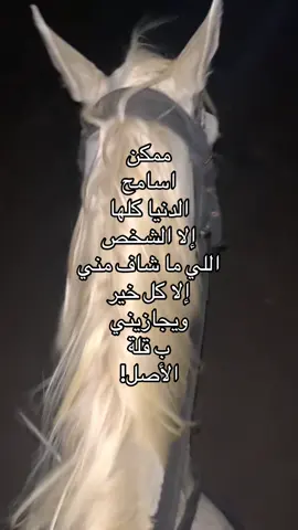 شكلٍ الحساب بيكون كله خيول🥰