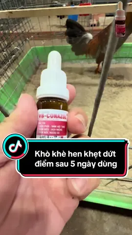 Khò khè hen khẹt dứt điểm sau 5 ngày dùng  Ae nhỏ ngày 2 lần mỗi lần 3 giọt.#thuy68 #ga #c1 #c2 #c3 #c4 #channuoi 
