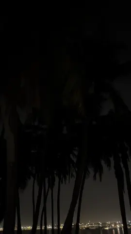 #فـالـح 