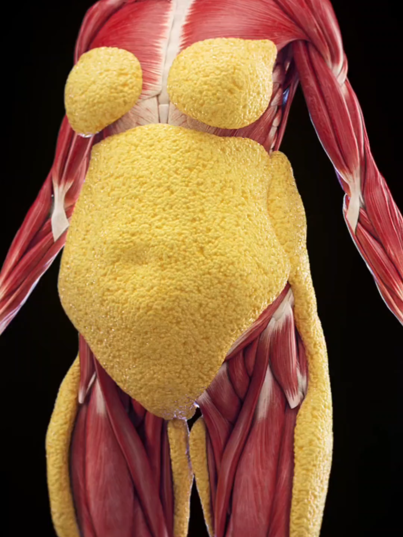 5 foods that give you a flatter stomach! #unitedstates #usa🇺🇸 #usa #healthy #body #DidYouKnow #healthtips #usaus