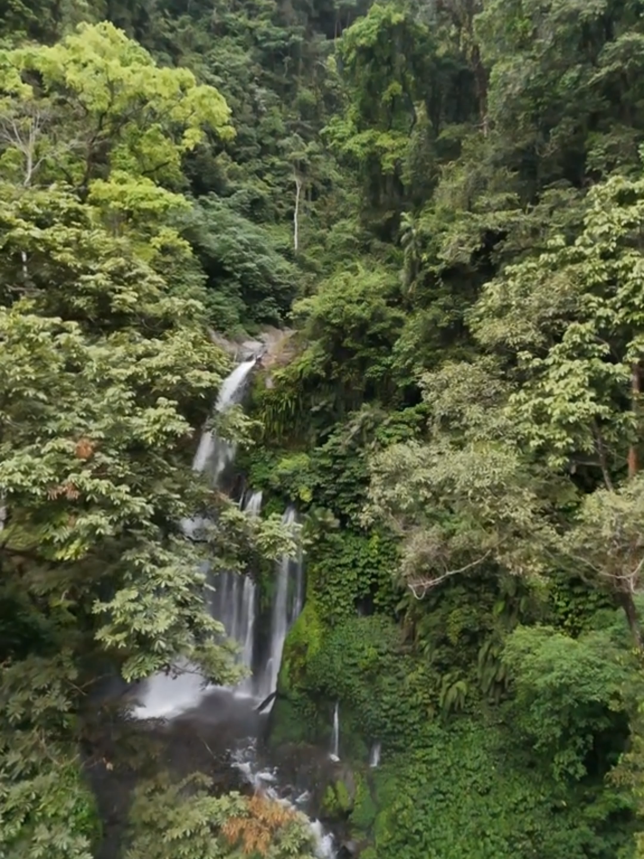 Tersembunyi di balik rindangnya hutan Lombok, Air Terjun Tiu Kelep menyuguhkan keindahan alam yang memukau. Aliran air yang jernih dan suasana sejuk menjadikannya destinasi sempurna untuk healing dan petualangan alam. 📍Tiu Kelep, Lombok Utara, Nusa Tenggara Barat #pelitatravel #tiukelepwaterfall #lombok #nusatenggarabarat #hiddengems