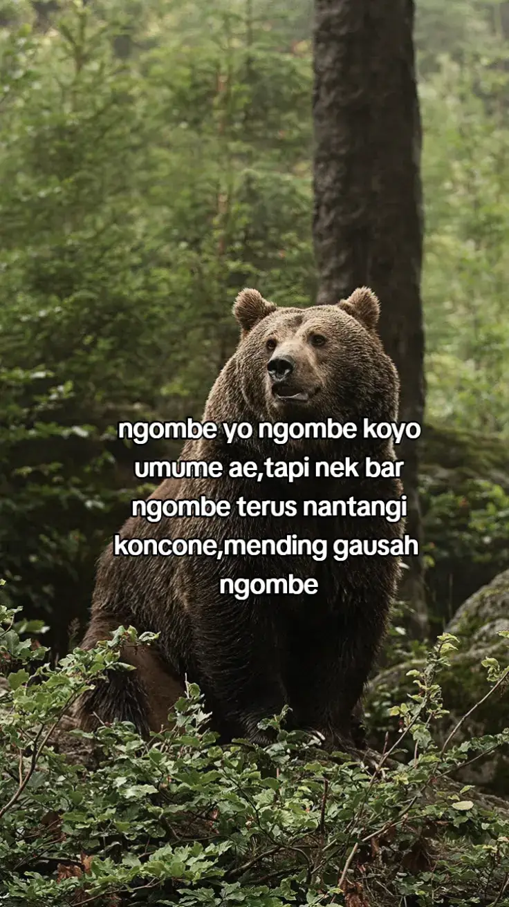 #ason01 