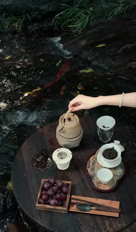 Uống trà một mình quả thật rất thú vị. Muốn uống nhẹ thì uống nhẹ. Muốn uống đậm thì uống đậm. Hôm nay bạn uống loại trà nào? #hoatam #tradao #binhyen 