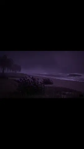 Dark Beach 💜... || #darkbeach #iris #peaceful #pastelghost #xybca #fyp #parati #pmghxst #pastelghost♡ #lilacs #prism #landscape #dreamrave #nightvibes #nightcore #silhouette #embrace #foryoupage #real #relatable 