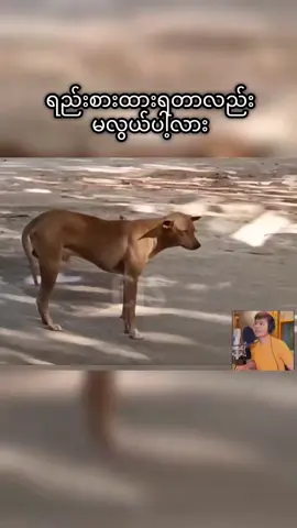 အိပ်ရေးပျက်တယ်😂😂#😂😂😂 #tiktok #myanmarfunny #charminstudio #ဟာသ 