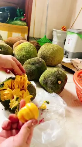 Ta nói giống mít Mật Na này ăn ngon nhất luôn các Bác ạ#caygiong #cayanqua #mitmatna 