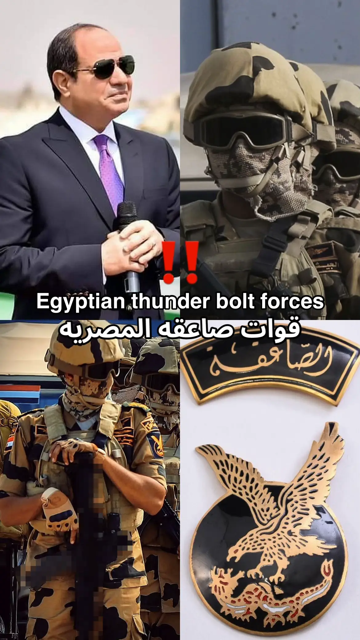 #foryoupage #egypt #viral #زعيم_الشرق_الاوسط #عبد_الفتاح_السيسي 
