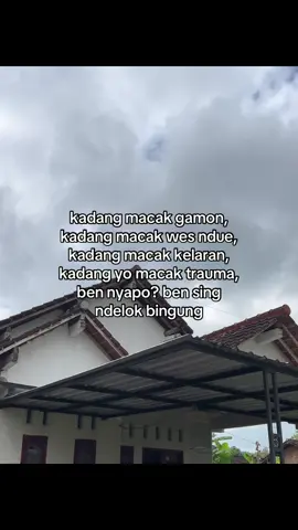 #ardynsyh 
