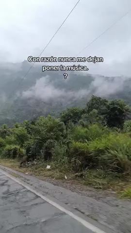#vuelamariposa #motos #selva #musica #diversion 