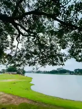 আমার কাকা আজ কত দিন হয়ে গেছে কাকা রে দিহিনা💔❤️#সবাই_একটু_সাপোর্ট_করবেন_প্লিজ #foryou #bdtiktokofficial🇧🇩tiktokboangladesh😍😍😍🇧🇩 