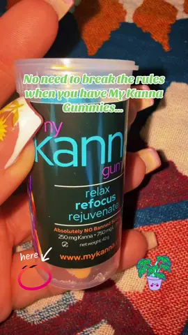 “No need to break any rules when you’ve got My Kanna Gummies… 🌱✨ If you know, you know.” These My Kanna Gummies (K-A-N-N-A) are like a chill pill from nature—minus the pill. 💛 Mood lift without lighting up 🌱 Plant-powered calm from Sceletium tortuosum (aka Kanna) 😌 That subtle, smooth vibe that hits just right for the ‘if you know, you know’ crew No booze. No rules. No problem. Just plant magic that would make McConaughey proud. 😉 #Kana #kanna #medicina  #DazedAndConfusedVibes #PlantMedicineMood #VibeShift #NaturalHigh