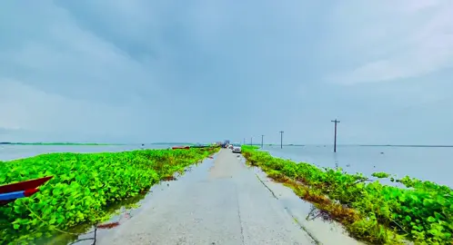 মায়া জিনিস টা বড়ই আদ্ভুদ,না দেয় ভুলতে না দেয় ভালো থাকতে...... 😩❤️‍🩹🌿#প্রকৃতি #sky #unfrezzmyaccount #viralvideo #viral_video_tiktok #foryoupagе #tiktokbangladesh #trending #greenscreen #foryou #viral #viraltiktok 