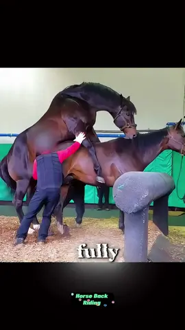 My Journey to Freedom: Discovering Equestrianism #MyEquestrianStory #FreedomOnHorseback #FirstRideMagic #EquestrianJourney #HorseConnection #RideToDiscover #HorsebackFreedom #NobleSport #EquestrianLife