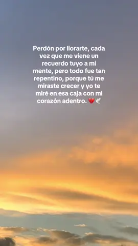 Perdón mami, pero te extraño demasiado 💔 #teextraño #💔 #mamaenelcielo #mehacesfalta 