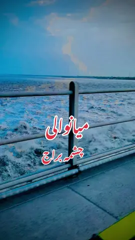 #fyp #viral #viral?videotiktok😇😇 #foryoupage #viralvedio 