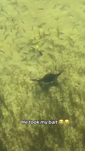 Bro went for a ride 😭 @Barstool Outdoors (via:@TheFishingHunters) 
