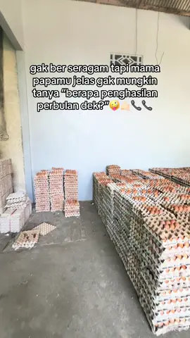 redy 700-1000 ikat per hari🥰🙏🏻🫰🏻 #ayampetelur #bisnisanakmuda #peternakmuda #fypツ 