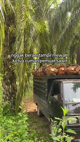 #fypkata_kata#fypkulisawit  