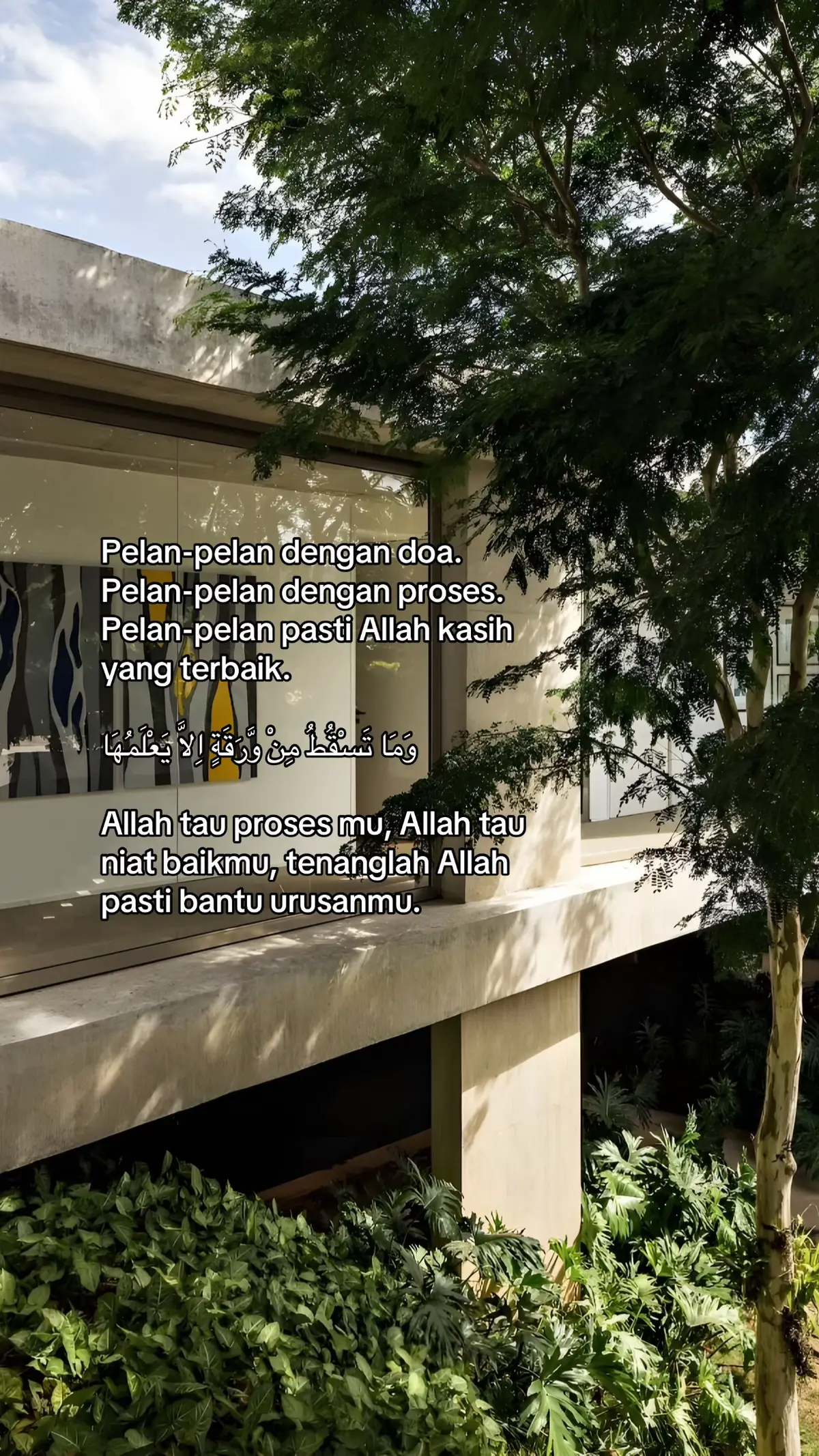Tidak ada sehelai daun pun yang gugur yang tidak diketahui-Nya. (Q.S Al An'am 6:ayat 59) . . #quotesislam #foryou #xyzbca #fyp 