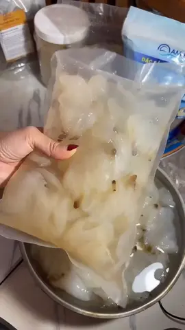 Thử ngay Chân Sứa nhạt ăn liền! Giòn ngon, dễ chế biến thành gỏi sứa sốt thái hoặc mắm nhĩ cà pháo.