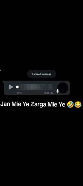 Jan Mie Ye Zarga Mie Ye 🤣😂 #fypシ゚ #viral #onemillonaudition #funny_voice_status #accointfullfreezed #plzunfrezemyaccount #foryoupageofficiall❤️❤️tiktok 