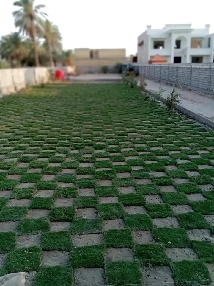 🌿 ثيل طبيعي 100% – جمال طبيعي يدوم 🌿9647872155288 حوّل حديقة بيتك أو مشروعك إلى مساحة خضراء مبهجة! ✅ ثيل طبيعي عالي الجودة ✅ مقاوم للحرارة والجفاف ✅ مظهر كثيف وألوان زاهية ✅ سهل الزراعة والصيانة ✅ مثالي للحدائق والمنازل والفلل والملاعب 📦 توصيل سريع لكل المحافظات 🔧 خدمات تركيب متكاملة 📞 احجز الآن وخلّ المساحات عندك تنبض بالحياة! 📲 للتواصل والاستفسار عبر الرسائل أو الاتصال المباشر 07872155288