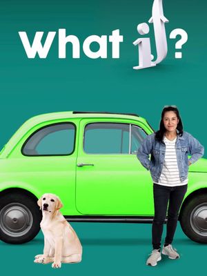 One dog, two dog, four? Time for a car upgrade. What If Instant Finance made it possible.