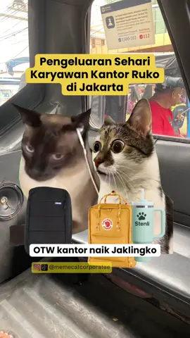 kapan lagii naik TransJakarta GRATIS dibayarin GoPay😻 #corporatelife #catmeme 