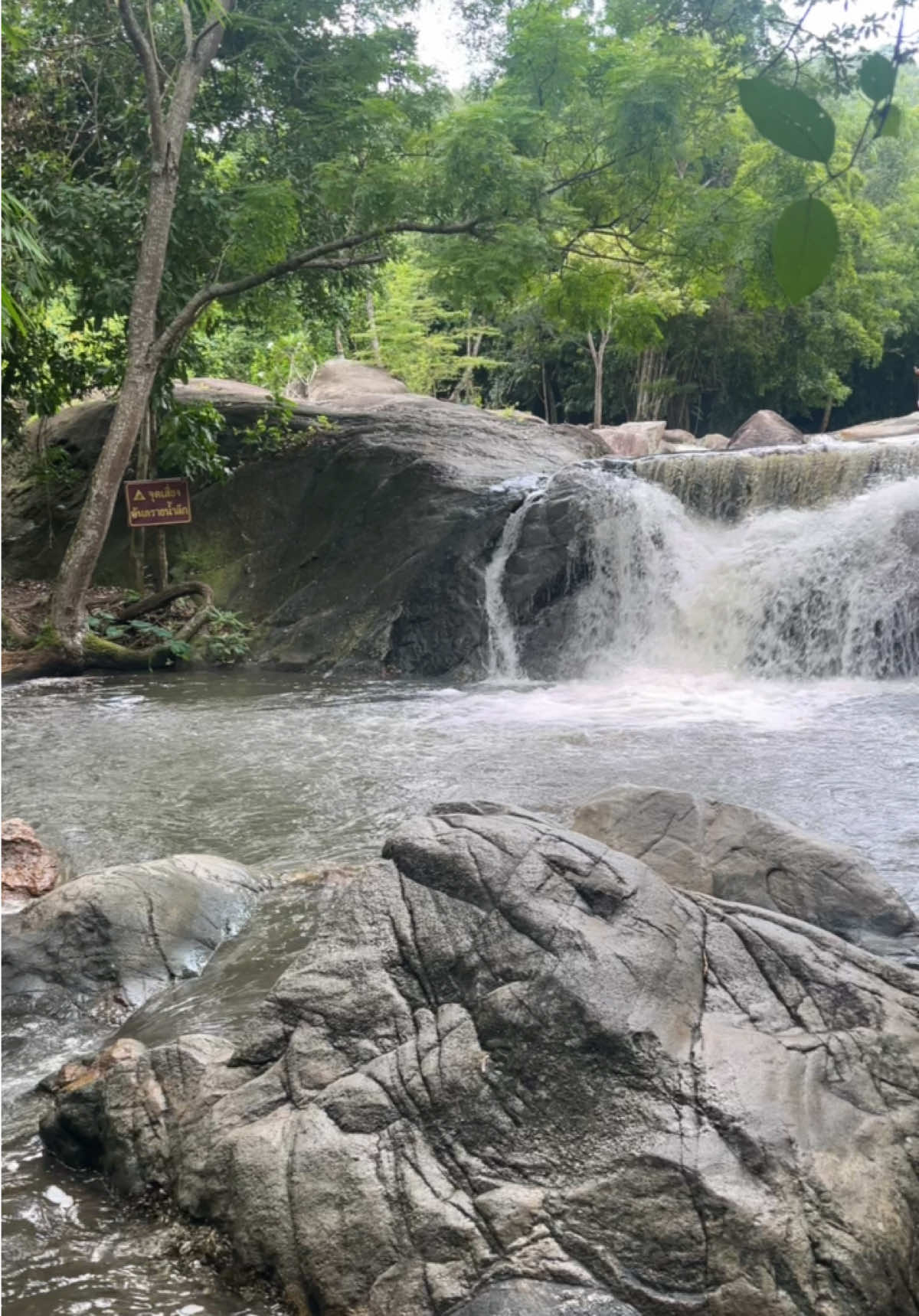 น้ำใสไหลเย็น เห็นตัวปลา⛰️🌳💦#น้ําตก9ชั้น #น้ําตกเก้าโจร #ที่เที่ยวราชบุรี #ราชบุรี #ธรรมชาติบําบัด #ถนนสวย #ฮีลใจ #ธรรมชาติ #การเดินทาง #🌳 #⛰️ #ธรรมชาติบ้านนอก #ราชบุรีไม่ได้มีดีแค่โอ่ง🤫 #บ้านคาราชบุรี #สวนผึ้ง #สวนผึ้งราชบุรี #ฟีดดดシ  #ธรรมะเป็นที่พึ่ง #ธรรมชาติ #ธรรมชาติบําบัด🍃 #ธรรมชาติบําบัด 