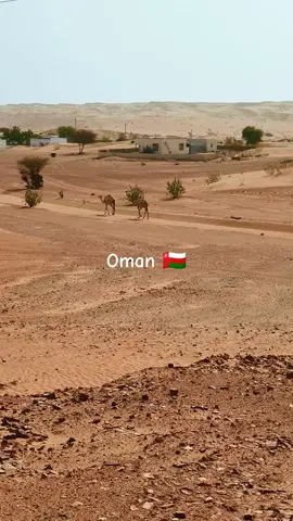 #oman🇴🇲muscat🥀🌹 #flypシ #viral #video #