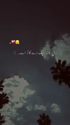 CAPTION PLEASE🤌🏻❤️‍🩹#fyp #foryou #unfrezzmyaccount 