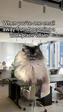 Yep. #workmemes #corpo #email #wrongplace #humor #sarcasm #villain 