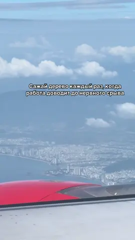 Кажется, у меня скоро будет тайга🥲 #fyp #justvibes #MemeCut 