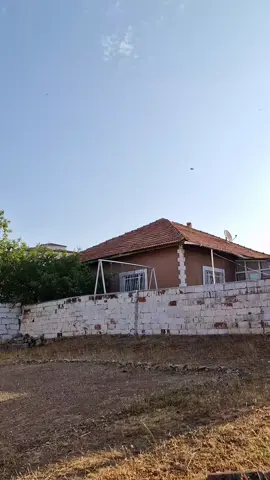 #kuşcu #güvercinsevdası #kuşçu #mardin #kuşlar #takla #istanbul #oyunkuşu #güvercin #pigeonslover #oyunkuşusevdası #ankaraoyunkuşu #seferligüvercin #taklacıgüvercin #güvercinvideoları